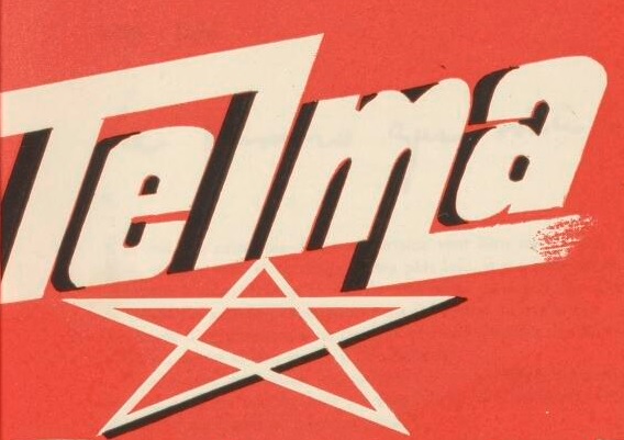 Telma, Télévision marocaine
